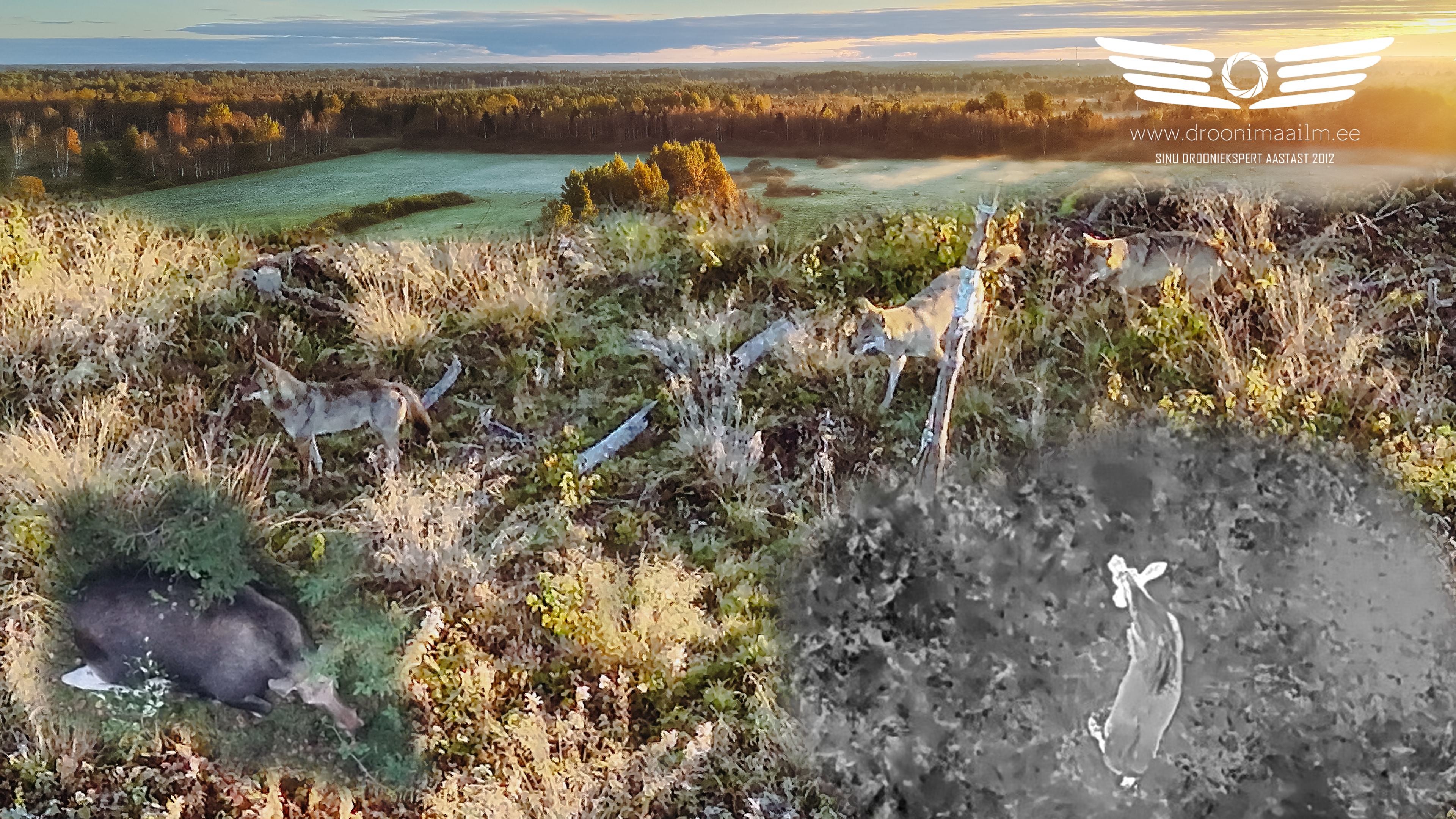 Termodroonid jahipidamises – kust jookseb piir jahieetikas?