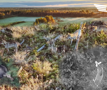 Termodroonid jahipidamises – kust jookseb piir jahieetikas?