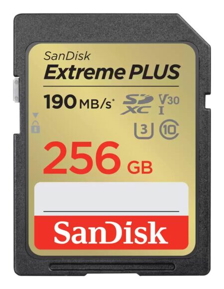 Memory sdxc 256gb uhs-1/sdsdxwv-256g-gncin sandisk