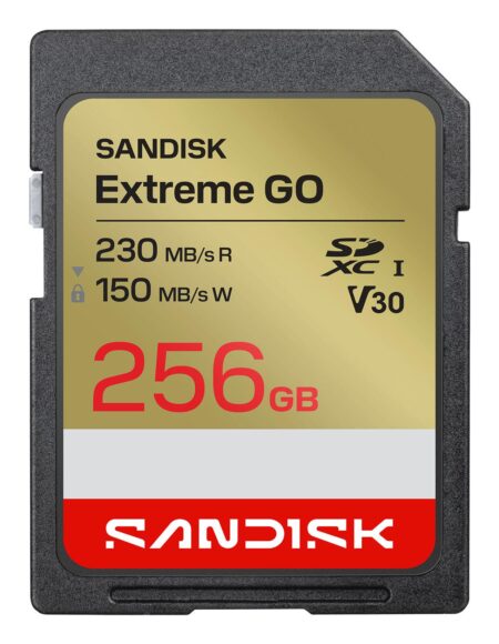 Memory sdxc 256gb uhs-i/sdsdxgn-256g-gncin sandisk