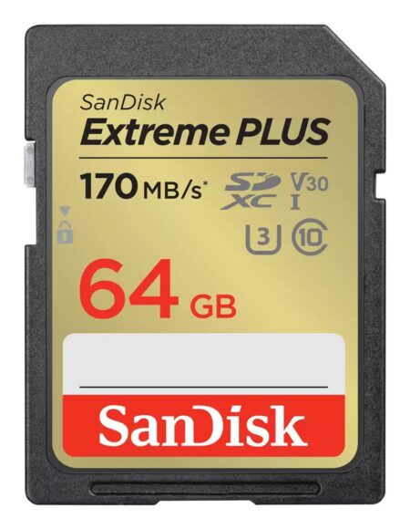 SanDisk 64 GB SDXC mälukaart (SDSDXW2-064G-GNCIN)